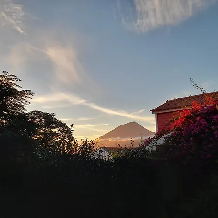 At Flamingas Place * לאז'ס דו פיקו