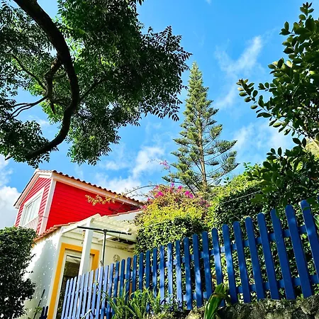 At Flamingas Place דירה *