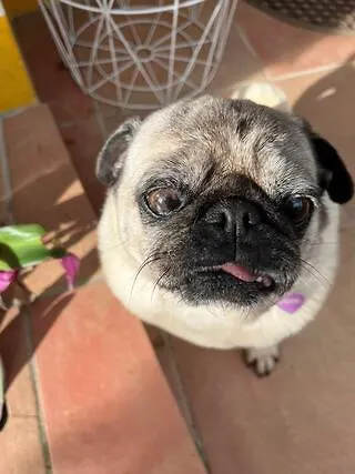 At Flamingas Place דירה