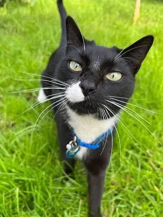 דירה At Flamingas Place