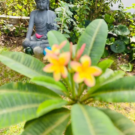 דירה At Flamingas Place *